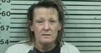 CHERYL SCHUERG | 2017-09-27 11:17:00 Hood County, Texas Booking