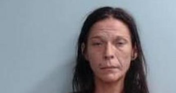 LEATHA WILLIAMS | 2017-09-28 11:20:00 Fayette County, Kentucky Booking