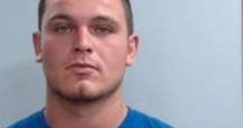 MICHAEL BERTRAM | 2017-09-29 18:17:00 Fayette County, Kentucky Booking