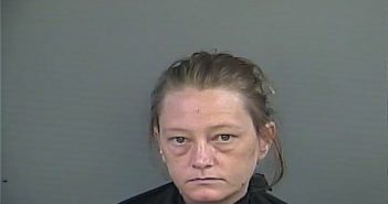 TONIA MICHELLE BRANYON | 2017-10-01 10:14:00 Anderson County, South Carolina Booking