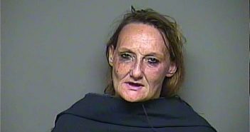 LYNN MARIE BUCKNER | 2017-10-01 02:04:00 Chester County, South Carolina Booking