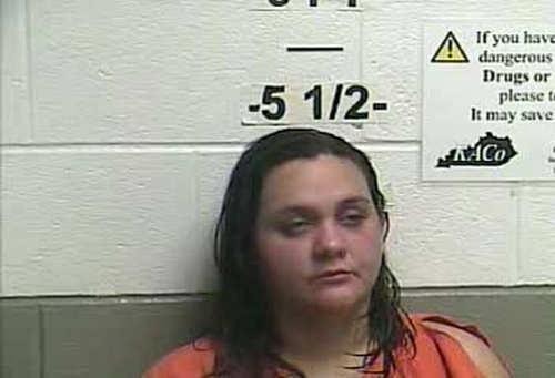 TRACY RENEE LLEWELLYN #, Whitley County, Kentucky - 2017-10-01 16:41:00