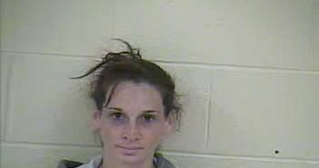 AMY MICHELE MANN | 2017-10-02 08:58:00 Taylor County, Kentucky Booking