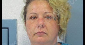 UPOLE, ALICIA JEAN | 2017-10-02 15:45:00 Preston County, West Virginia Booking