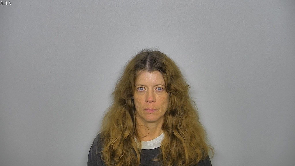 MELANIE ANNE ALBAUGH #, Burleigh County, North Dakota - 2017-10-02 17:32:00