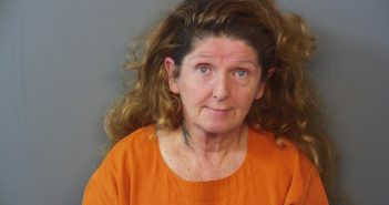 LISA FAYE STOUT | 2017-10-03 17:54:35 Hendricks County, Indiana Booking