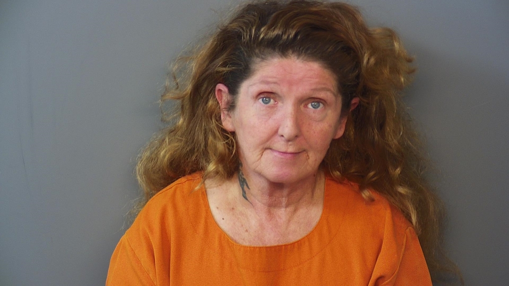 LISA FAYE STOUT #, Hendricks County, Indiana - 2017-10-03 17:54:35