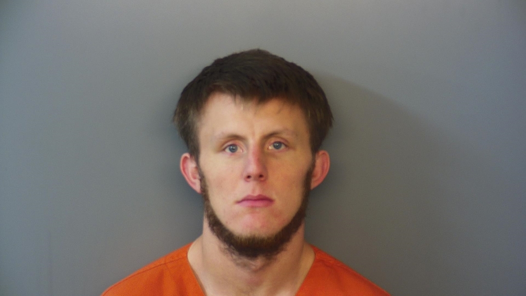 AUSTIN ROBERT DAVIDSON #, Hendricks County, Indiana - 2017-10-04 11:12:00