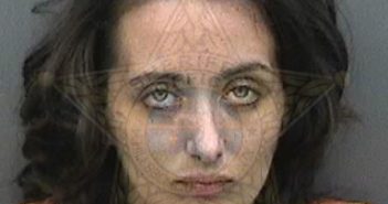 <B>ANSELL</B>, <B>ASHLEY</B> <B>MARIE</B> #, Hillsborough County, Florida - 2017-10-06 16:09:00