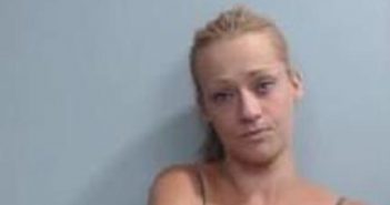 SARAH FINE | 2017-10-06 02:39:00 Fayette County, Kentucky Booking