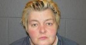 ANNETTE HAWLEY | 2017-10-06 14:12:00 Delaware County, New York Booking