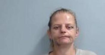 MEGAN MYNHEER | 2017-10-07 11:50:00 Fayette County, Kentucky Booking