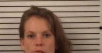 AMANDA JAMERSON | 2017-10-08 15:23:00 Madison County, North Carolina Booking