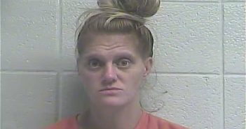 ASHLEY WEBB | 2017-10-11 02:55:00 Jessamine County, Kentucky Booking