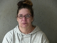 SMITH MICHELLE ANN | 2017-10-12 Gratiot County, Michigan Booking