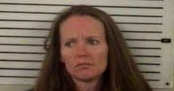 TERRI MORGAN | 2017-10-13 17:46:00 Madison County, North Carolina Booking