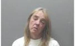 JOHNSRUD, KELLY JEAN | 2017-10-13 Iowa County, Wisconsin Booking