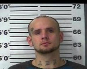 CHRISTOPHER LEE | 2017-10-16 17:40:00 Gibson County, Tennessee Booking