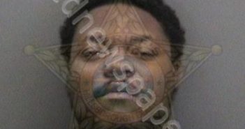FREEMAN, RASHEEM MARQUIS | 2017-10-16 18:14:00 Hillsborough County, Florida Booking