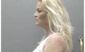 STURDEVANT, AMY KATHLEEN | 2017-10-17 Iowa County, Wisconsin Booking