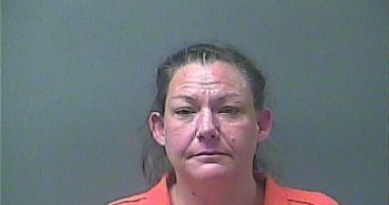 DANIELLE G PHILLIPS | 2017-10-20 16:11:00 Laporte County, Indiana, La Porte County, Indiana Booking