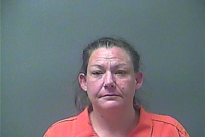 DANIELLE G PHILLIPS #, Laporte County, Indiana, La Porte County, Indiana - 2017-10-20 16:11:00