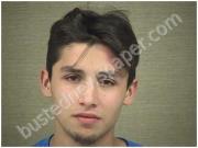 LLERENA, JORGE | 2017-10-21 Harnett County, North Carolina Booking