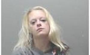 MOORE, SAMANTHA ANN | 2017-10-22 Iowa County, Wisconsin Booking