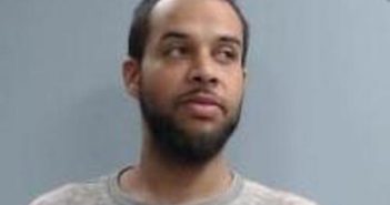 DEVAINE LEWIS | 2017-10-24 14:30:00 Fayette County, Kentucky Booking