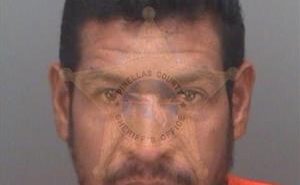<B>ZAVALA</B>-TORRES, MIGUEL <B>ANGEL</B> #, Pinellas County, Florida - 2017-10-28 22:36:18
