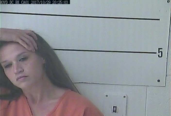 PORTIA NICOLE ANDERSON #, Boyd County, Kentucky - 2017-10-29 20:30:00