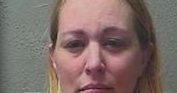PATRICIA GRANT | 2017-10-30 00:28:00 Benewah County, Idaho Booking