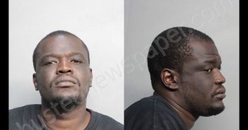 PIERRE-LOUIS, JAMES SMITH | 2017-11-01 23:39:00 Miami-Dade County, Florida Booking