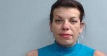 ELISABETH ENRRIQUEZ | 2017-11-02 16:19:00 Fayette County, Kentucky Booking