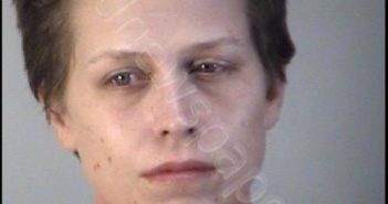 MICHELLE ASHLEY BARBEE | 2017-11-02 09:39:00 Lake County, Florida Booking