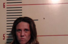 MORGAN, AMANDA MICHELLE | 2017-11-03 Parker County, Texas Booking