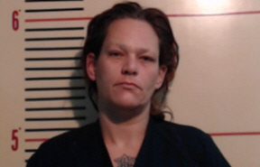 PUHLER, NICOLE LAREIN | 2017-11-03 Parker County, Texas Booking