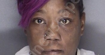 RAY, ANGEL COLETTE | 2017-11-04 20:02:00 Ellis County, Texas Booking