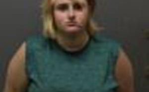 VOSEBERG, SAMANTHA LEIGH | 2017-11-06 Iowa County, Wisconsin Booking