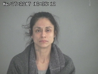 DIAZ MELISSA D | 2017-11-07 Sandusky County, Ohio Booking