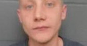 CODY WARNER | 2017-11-09 18:30:00 Delaware County, New York Booking