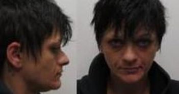 RICHELLE ROWLEY | 2017-11-09 00:57:00 Clark County, Indiana Booking