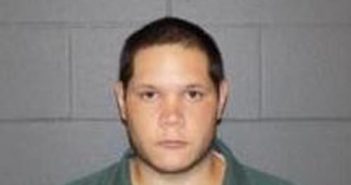 PATRICK FORD | 2017-11-09 17:15:00 Delaware County, New York Booking