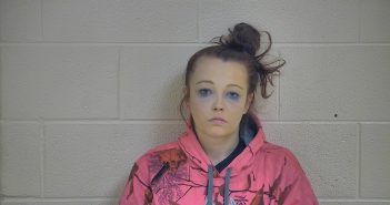 JESSICA M PARSONS | 2017-11-10 23:44:00 Taylor County, Kentucky Booking