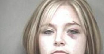 CASSIE THOMPSON | 2017-11-12 05:15:00 Charlotte County, Virginia Booking