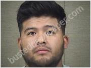 ORTEGA, FRANCISCO | 2017-11-12 Harnett County, North Carolina Booking