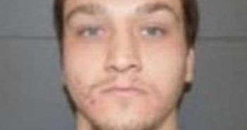EDWARD PETTI | 2017-11-13 15:30:00 Delaware County, New York Booking