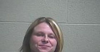 LAURA ROGERS | 2017-11-13 19:45:00 Lincoln County, Tennessee Booking