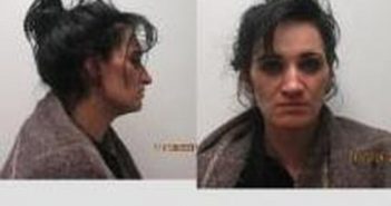 ERIN DENBOW | 2017-11-13 04:01:00 Clark County, Indiana Booking