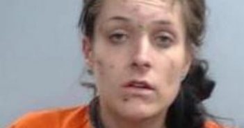 BRITTANY MCINTYRE | 2017-11-14 09:57:00 Fayette County, Kentucky Booking